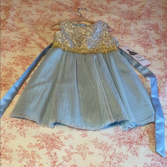 3t cinderella dress